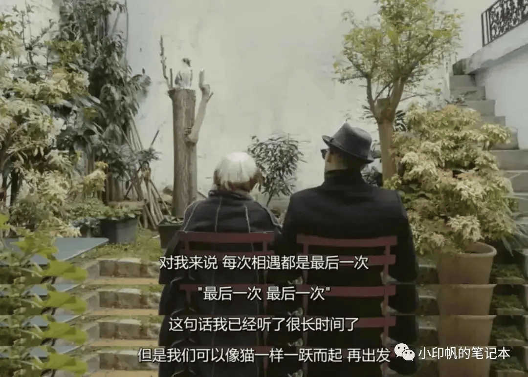 建筑学姐从追星安藤到小红书户外博主全网12w粉丝