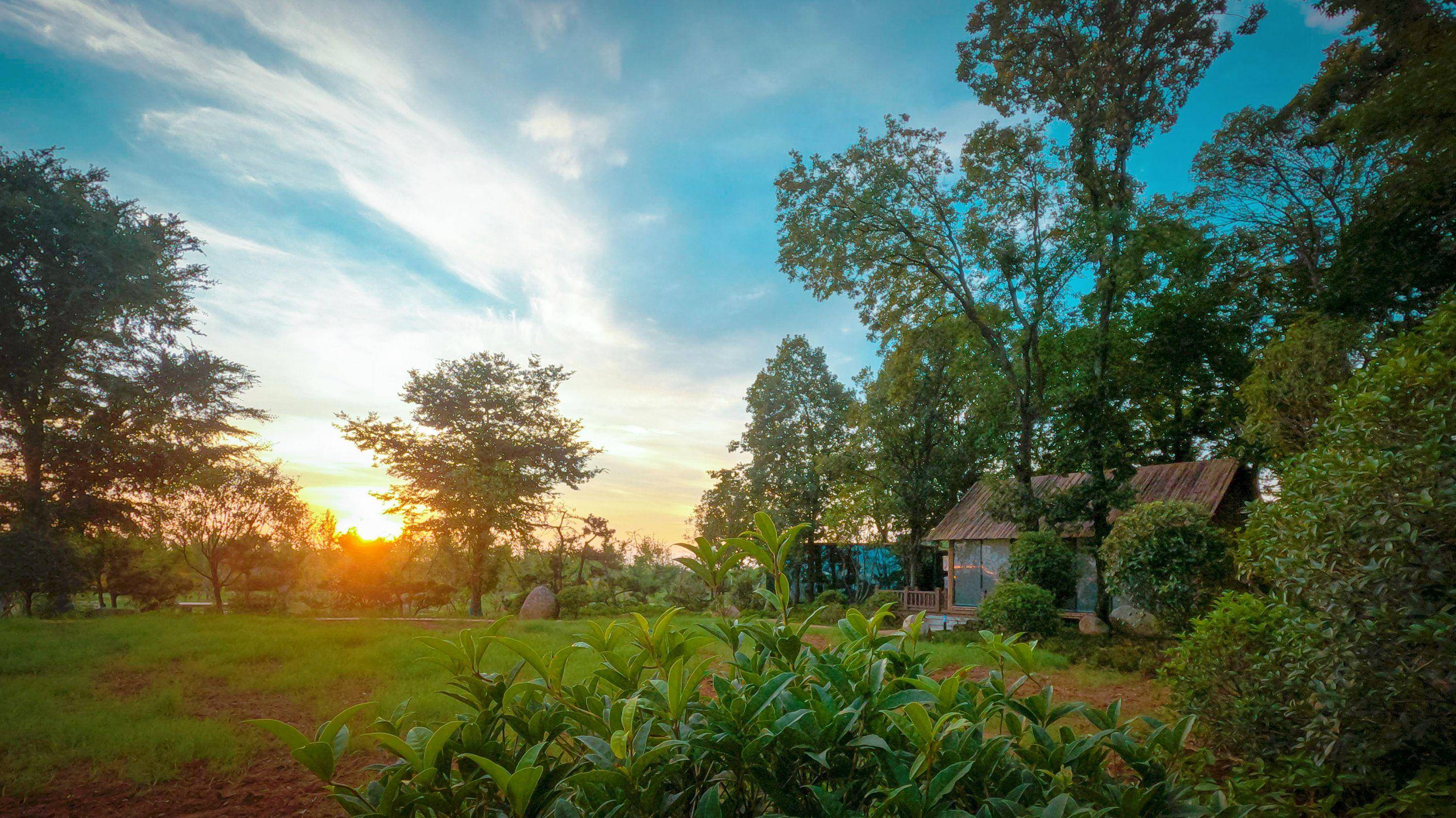 园区里的小木屋值得一提的是,园区内种有6万棵果树,中科金玉猕猴桃