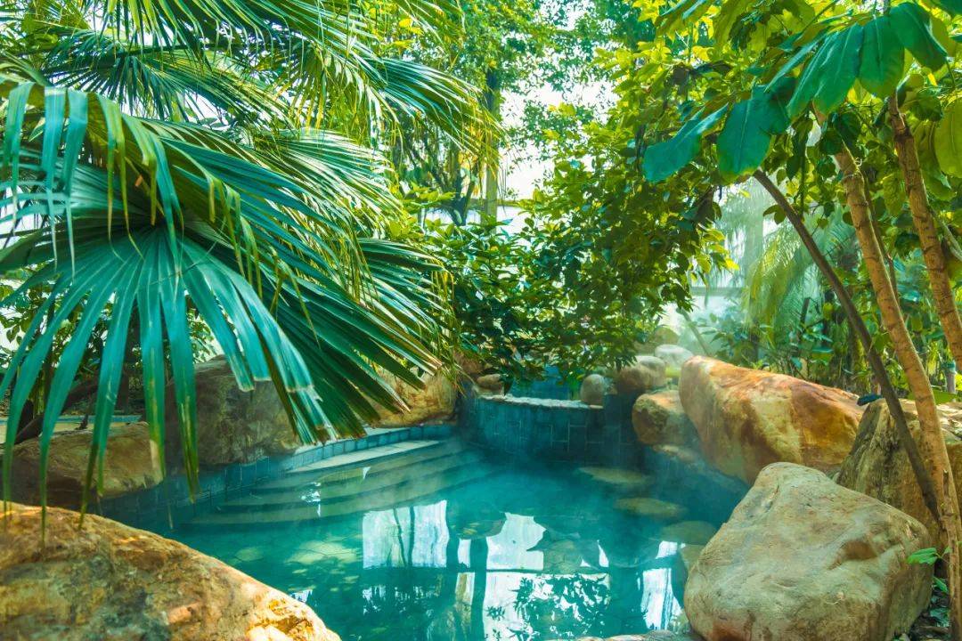 奥华国际温泉酒店 |一切美好如约而至 清明假期 来这里体验温泉浮餐