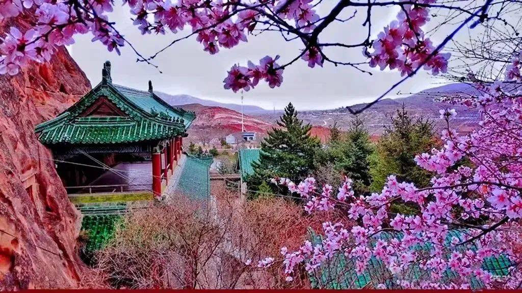 春日来信花儿开了去春游吧这份宁夏桃杏梨花期预报请收好