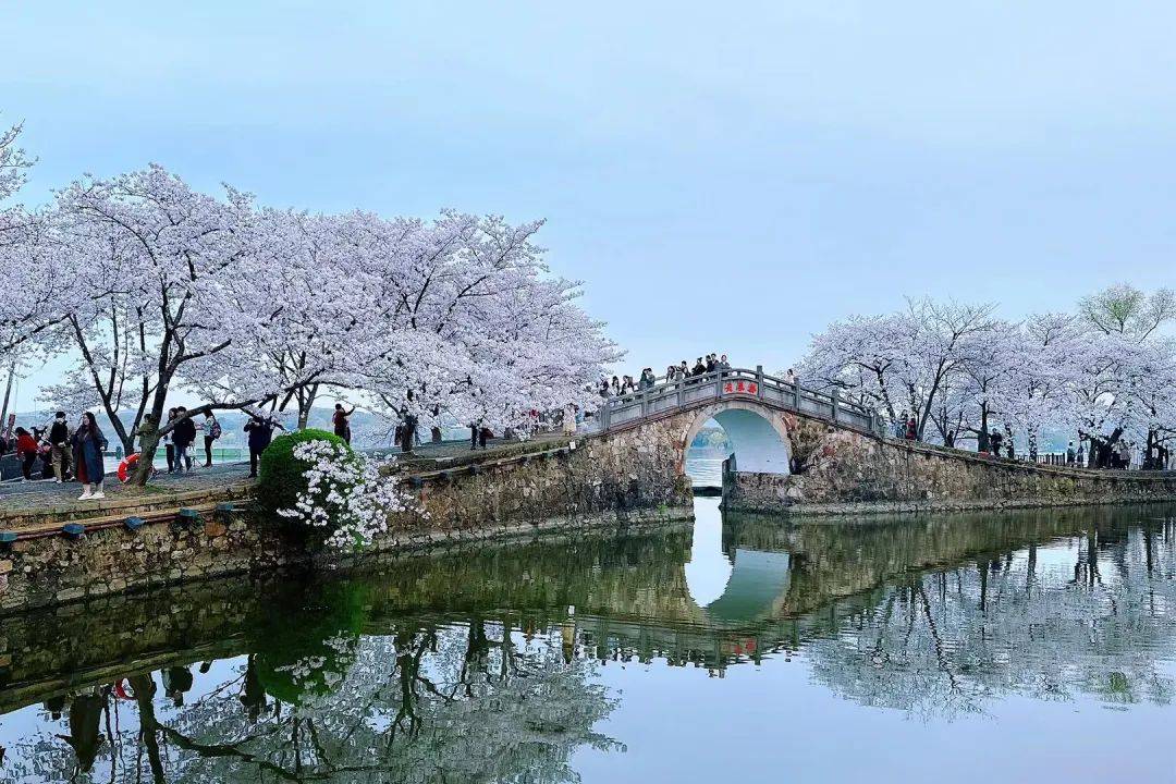 清晨6点的鼋头渚美爆了