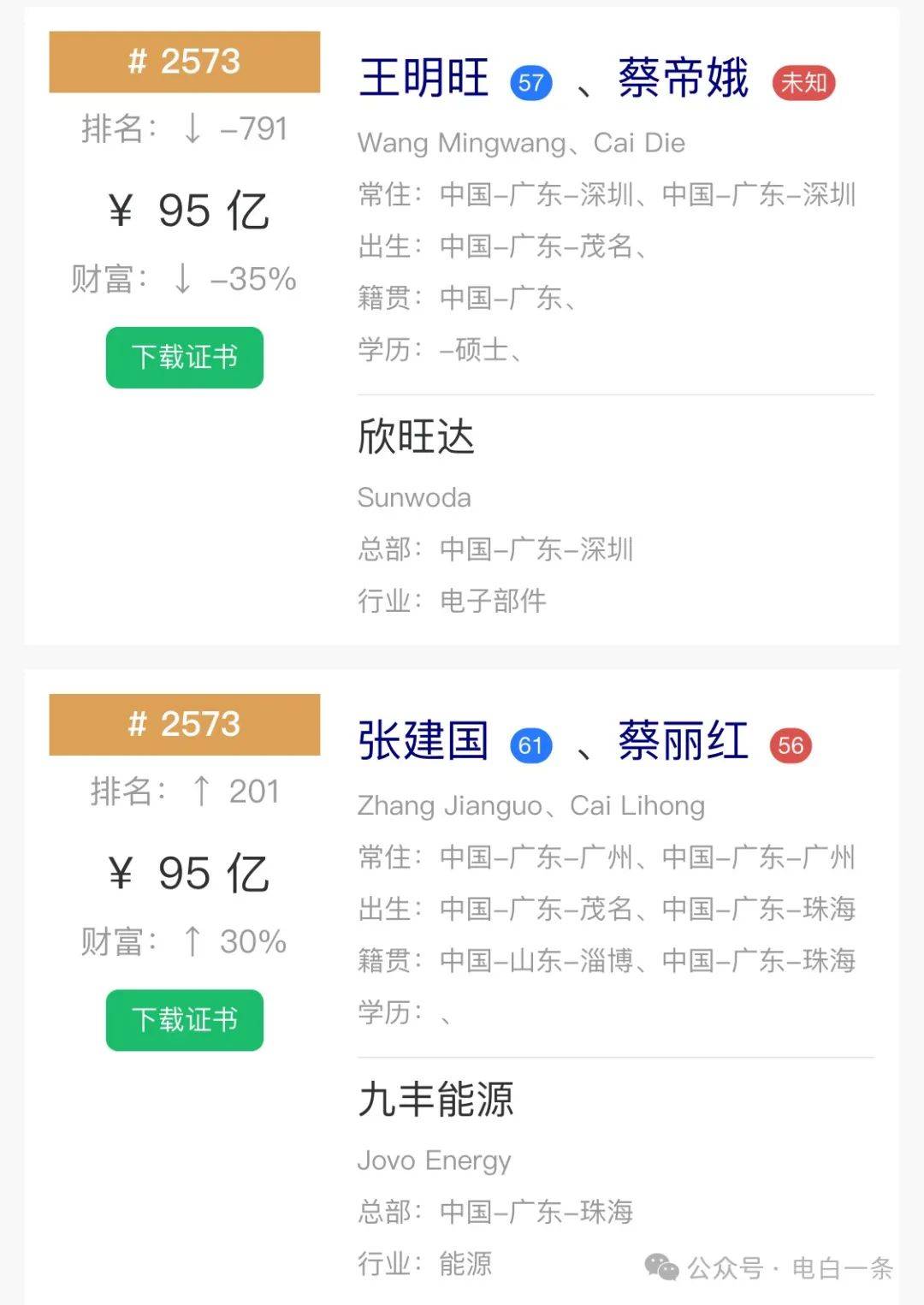 95亿财富2024年电白首富是他