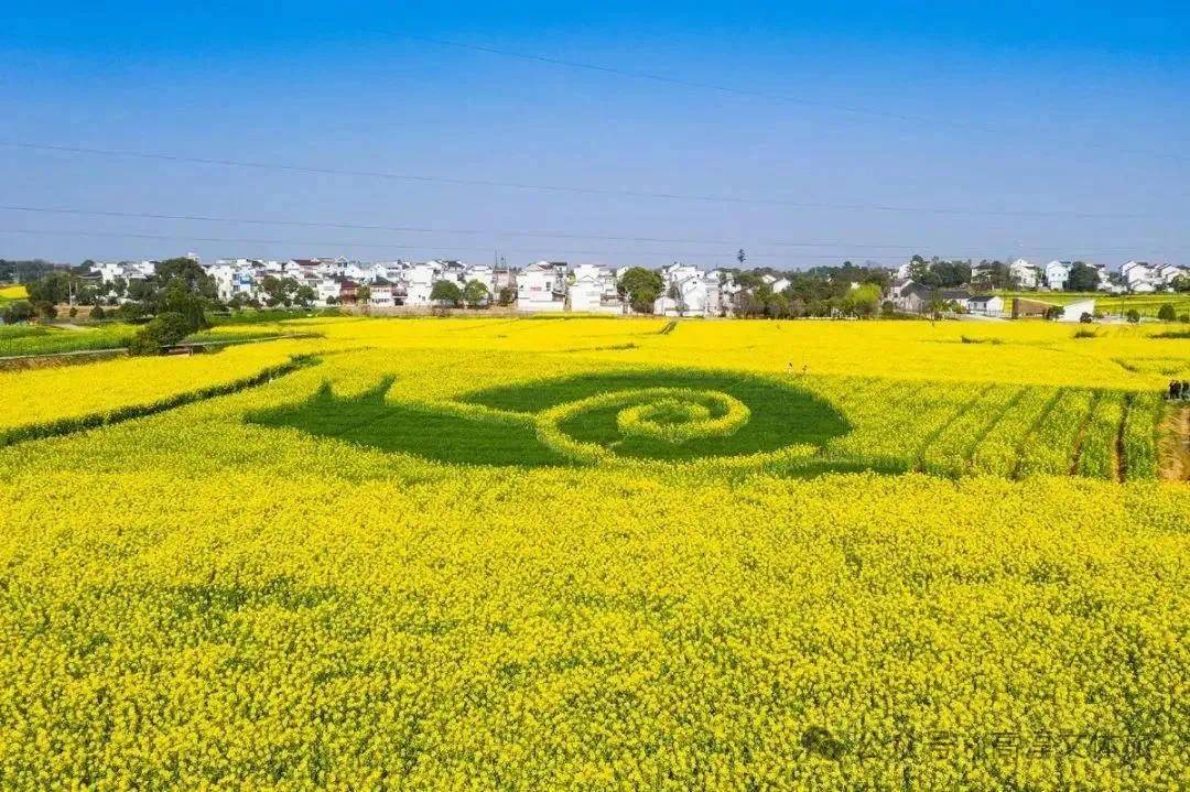 如诗如画的慢城_风景_葡萄园_植物
