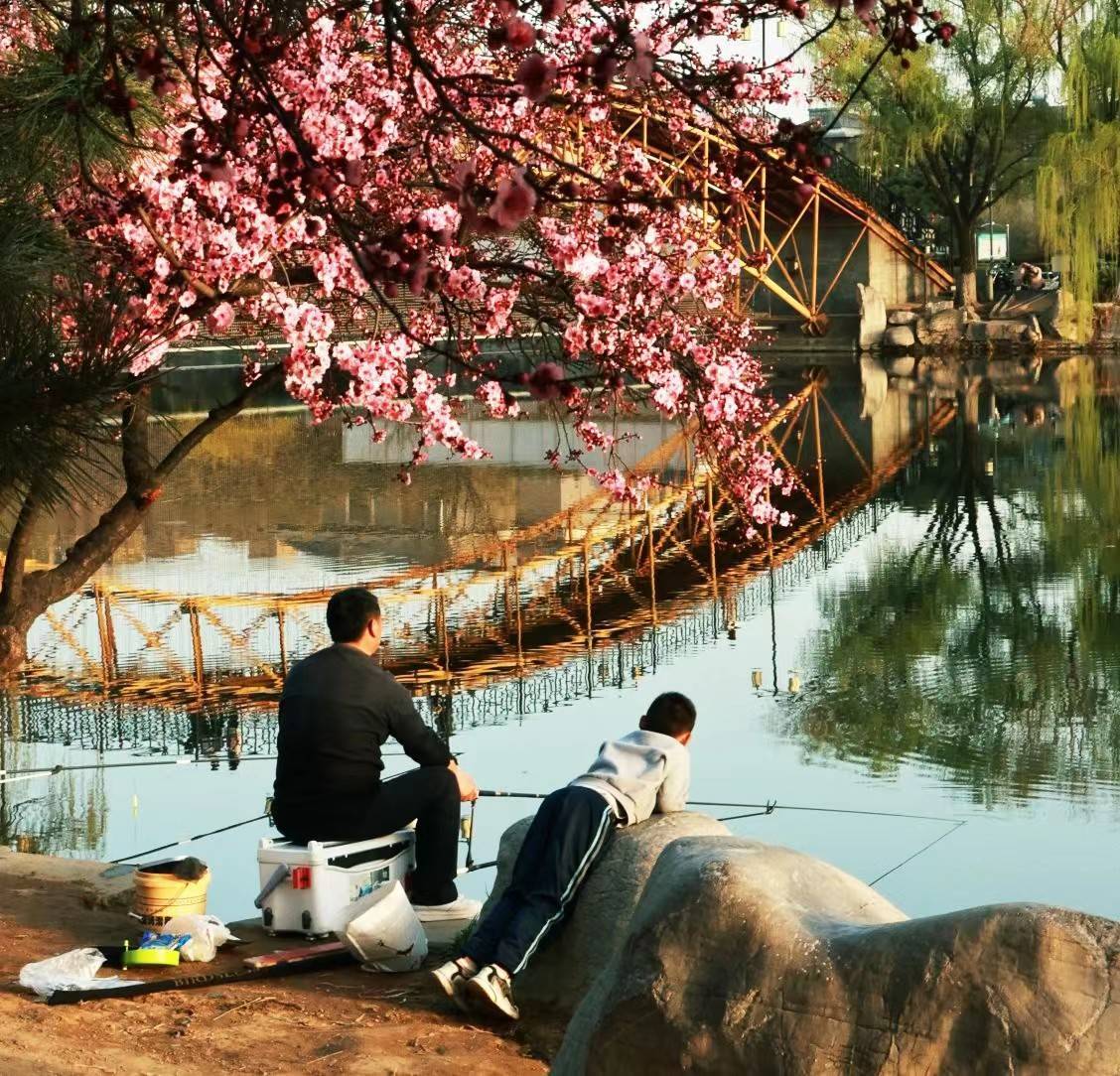 组图|泰安高新区凤凰湖公园浪漫春景