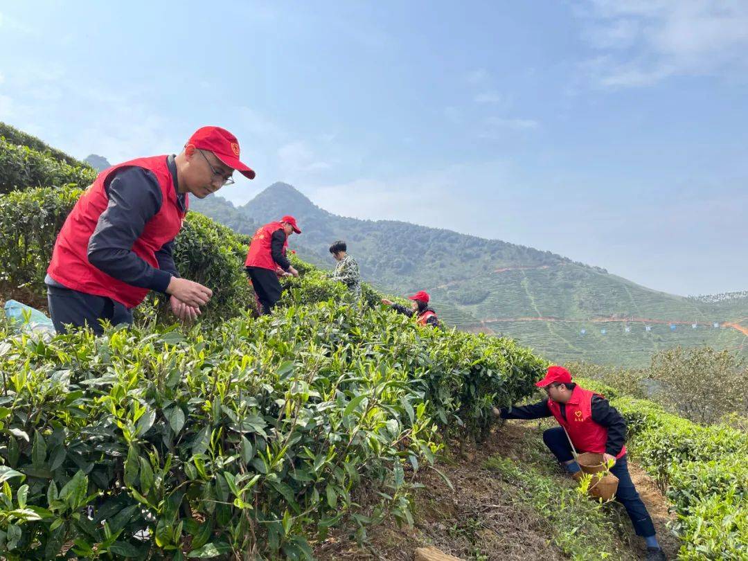 青志愿玉林追锋青年在行动五