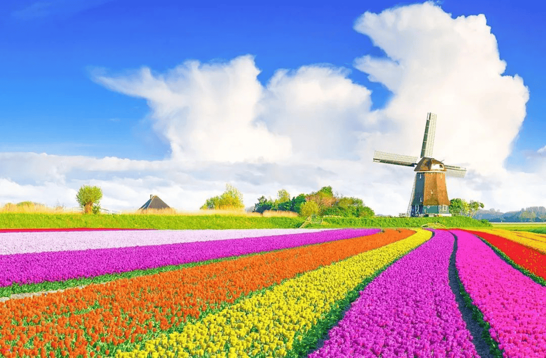 "自由之国"荷兰,到底有多开放,"橱窗女郎"让女人都咂舌!