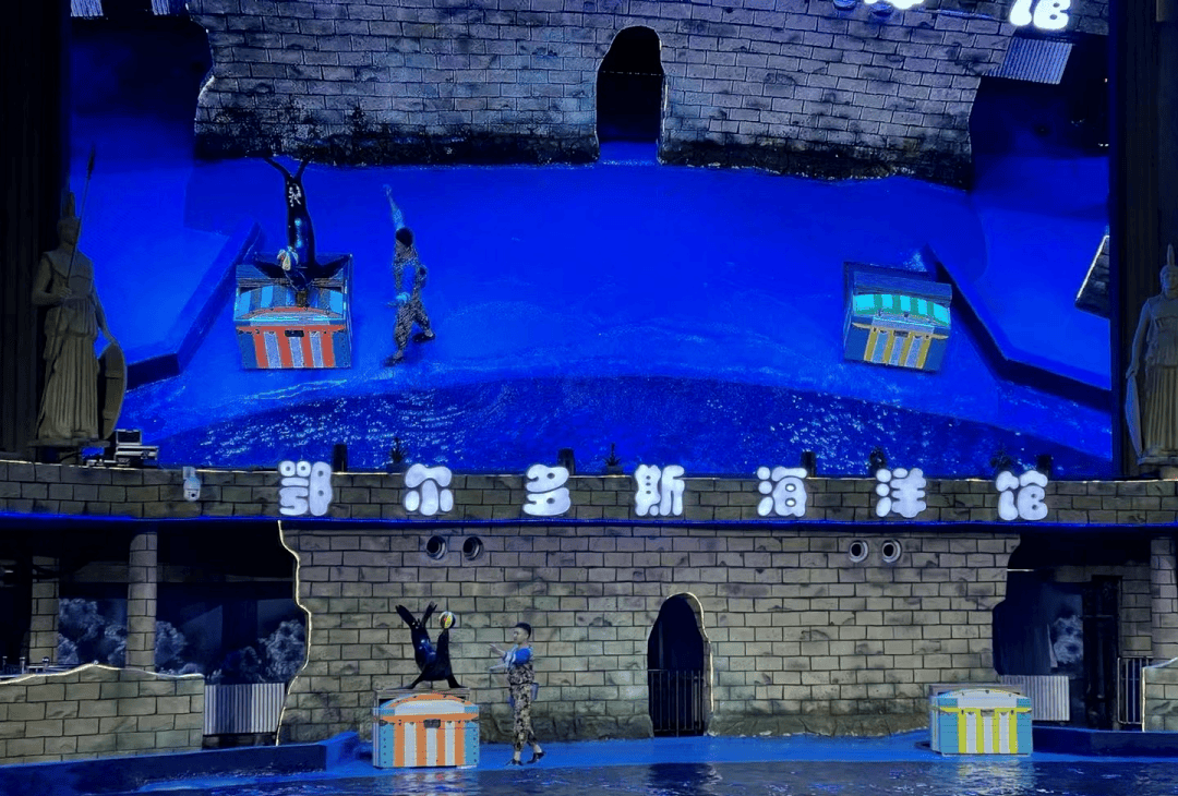 在鄂尔多斯海洋馆,从热带雨林到极地部落,穿越奇幻的海底隧道,见识到