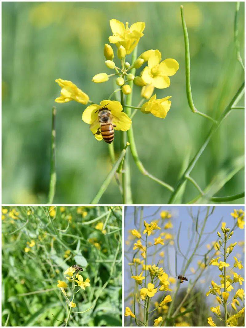 连休9天全年不调休最新公告