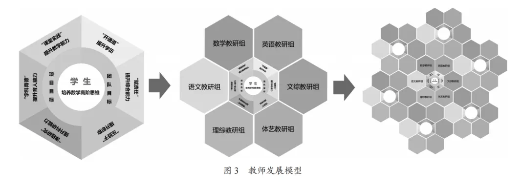 邵毓佳:蜂巢型团队引领教师专业成长