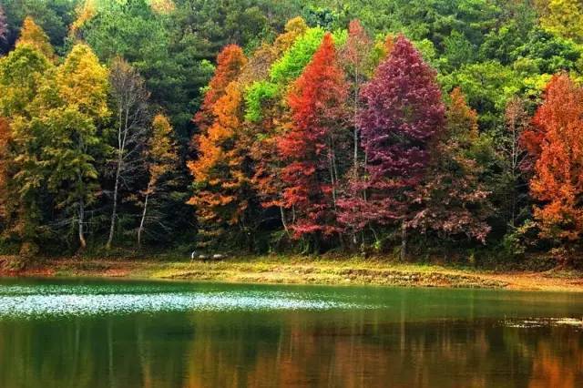 景区_石头_地方