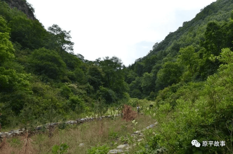 回顾原平屯瓦栈子沟黄土高原大氧吧