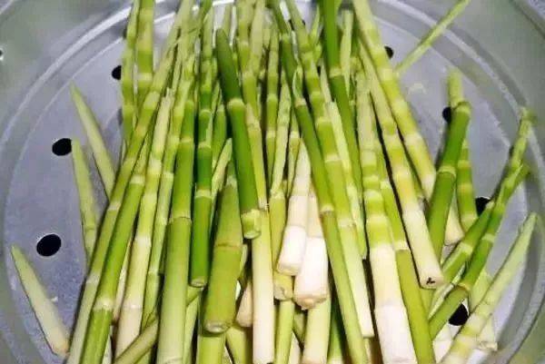 邵东一男子上山挖竹笋结果发现了一个这样的秘密