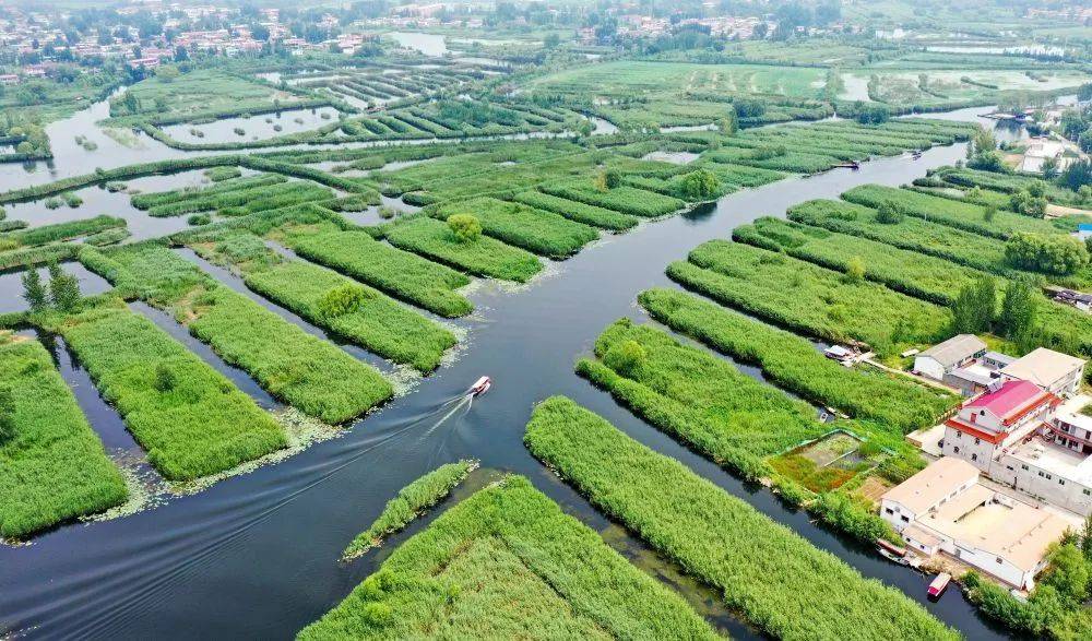 望月岛的变化是白洋淀生态治理的一个缩影.