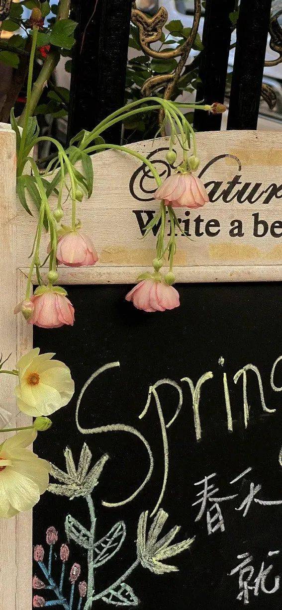 4k全新全屏壁纸