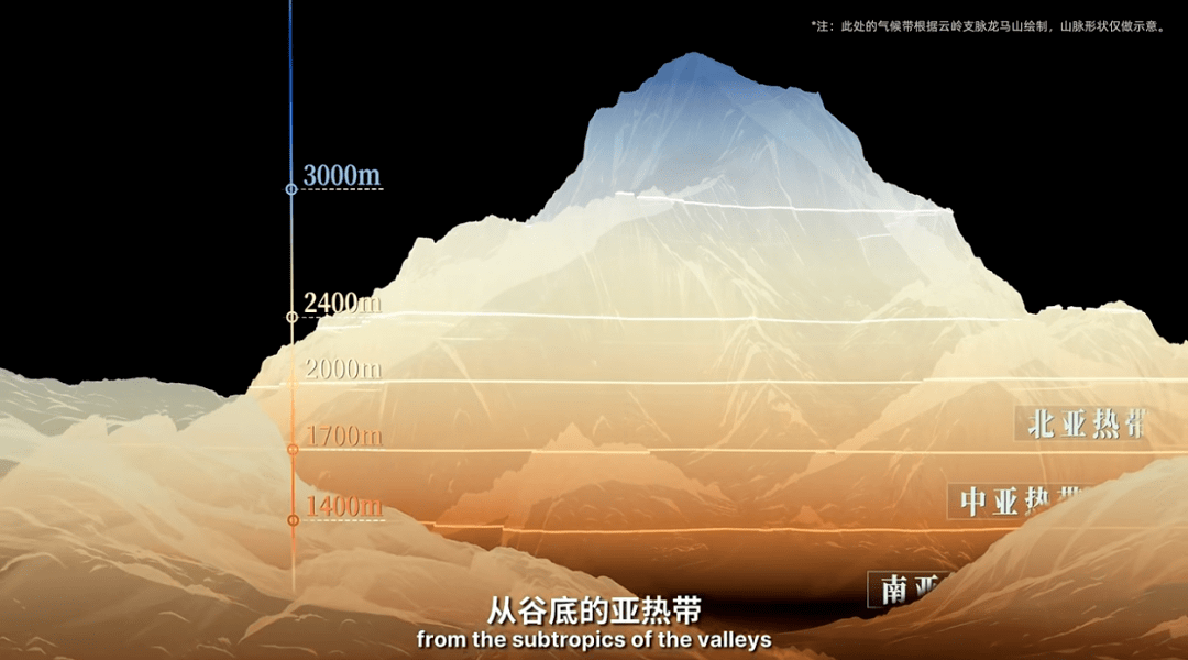 中国_气候_高原
