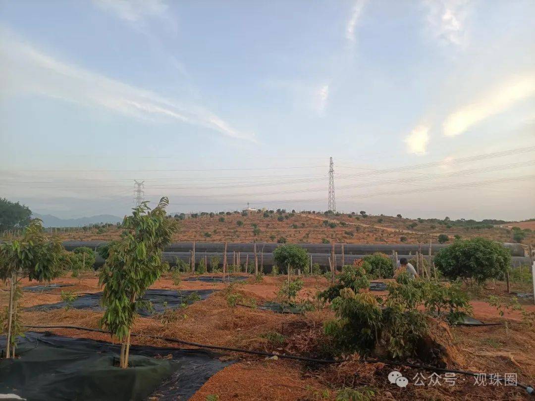 历史文化观珠有着悠久的文化历史,地大物博,人杰地灵,是客家人聚集地