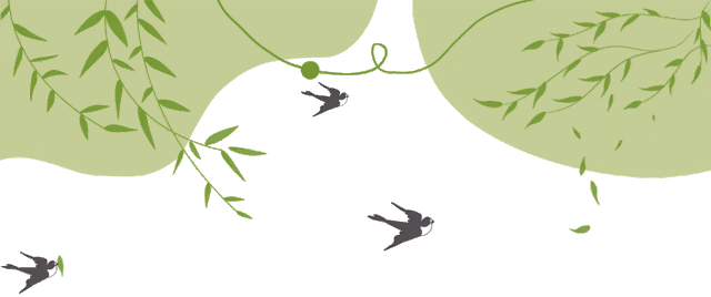 苗木_小苗_周期