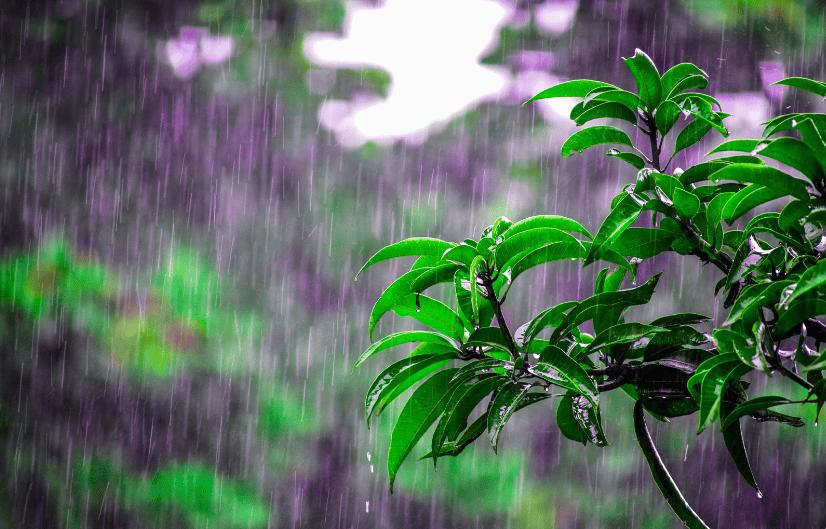 清明雨上图片唯美图片