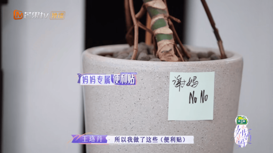 陶昕然一行泪大家都原谅了安陵容