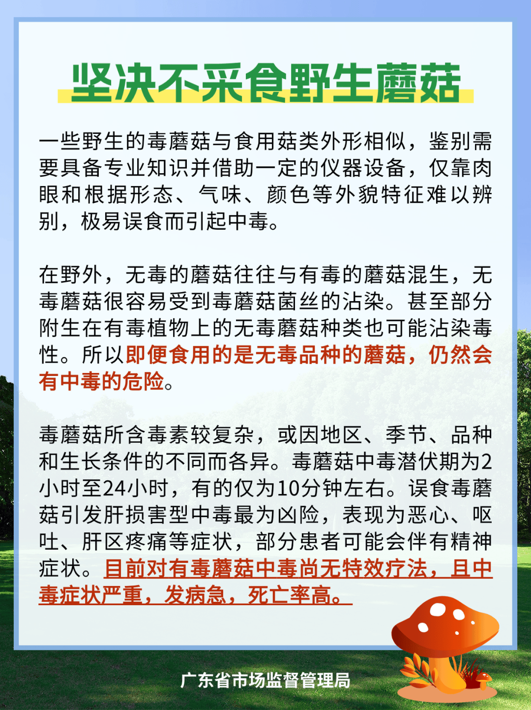 野生毒蘑菇引发食物中毒9595谨防误采误食误售误加工提高警惕请