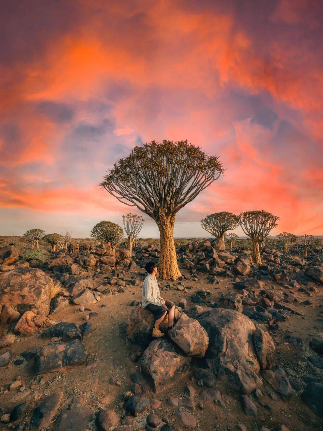 尼康分享跟着z8游历纳米比亚的多样世界