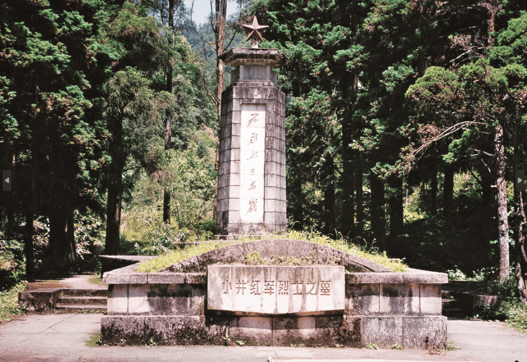 清明将至,这份祭扫指南请收好~_井冈山_烈士陵园_墓地