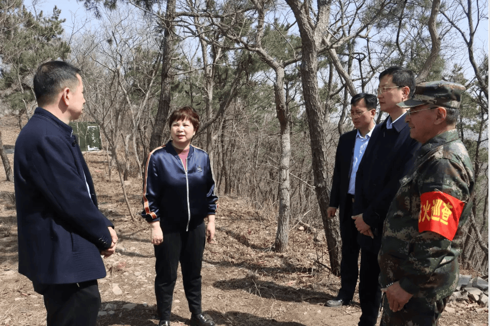 莱阳市领导调研莱阳梨产业赋能中心暨督导森林防火工作