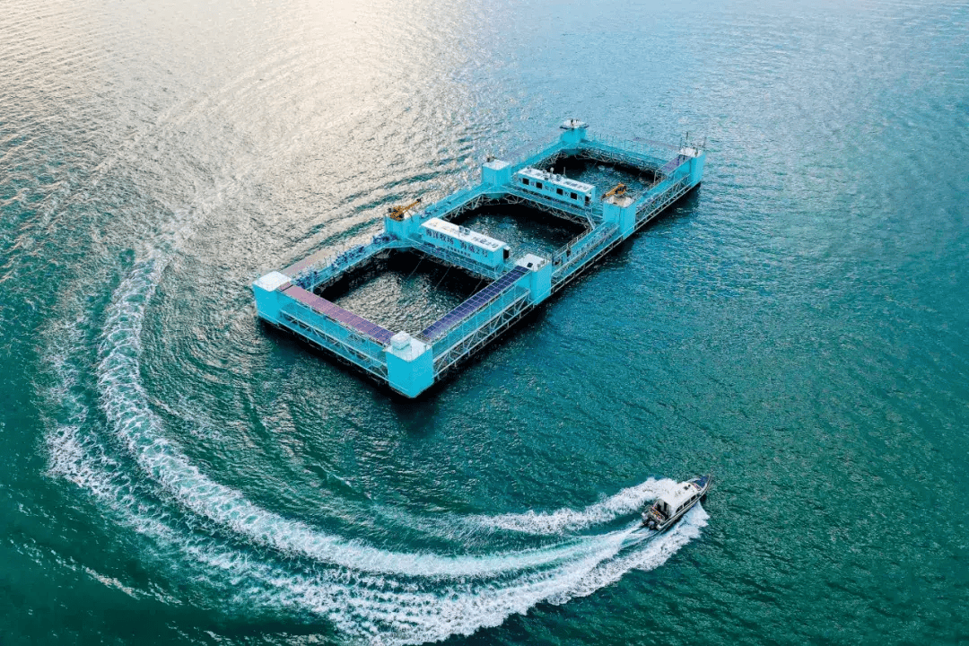 花上亿元深海养鱼,值吗?_养殖_工船_网箱