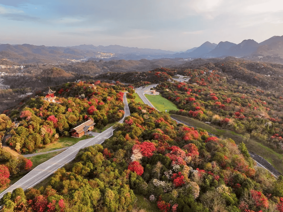 景区_门票_游客