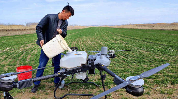 新疆察布查尔县:植保无人机春管冬小麦施肥忙
