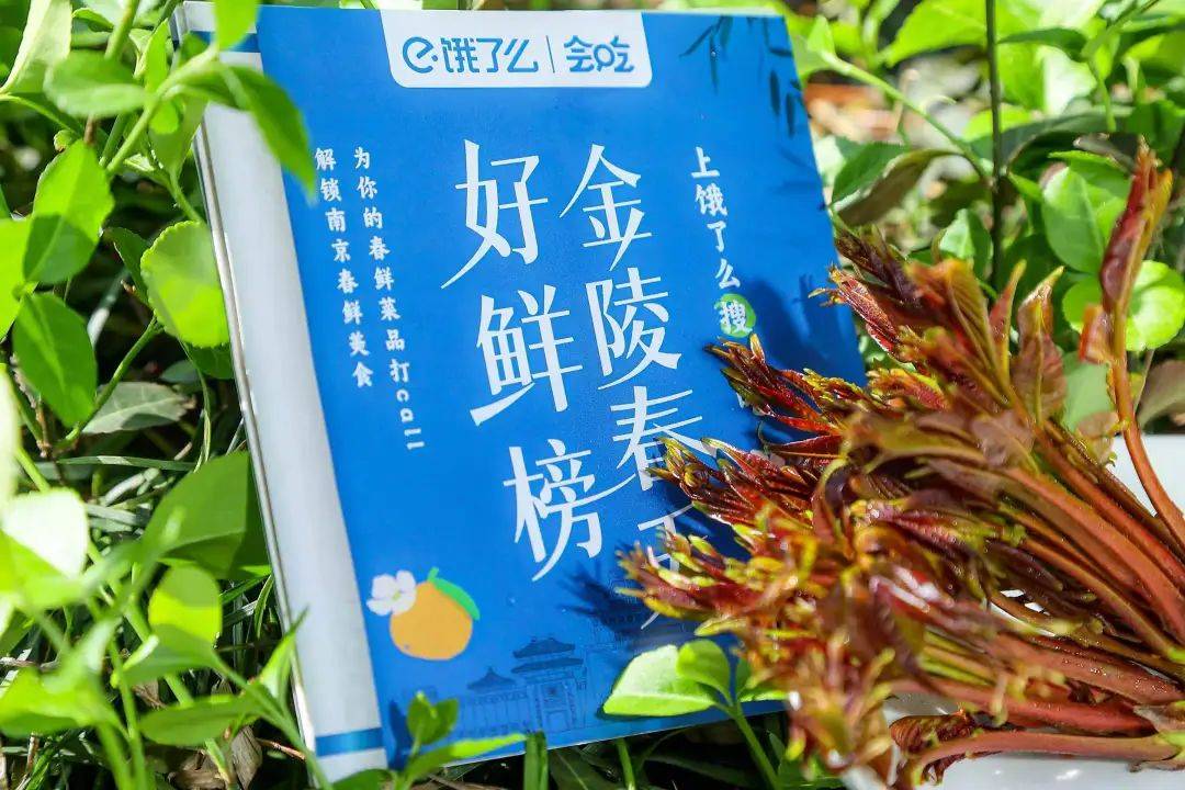 推广金陵春鲜榜放榜啦饿了么让南京人更会吃
