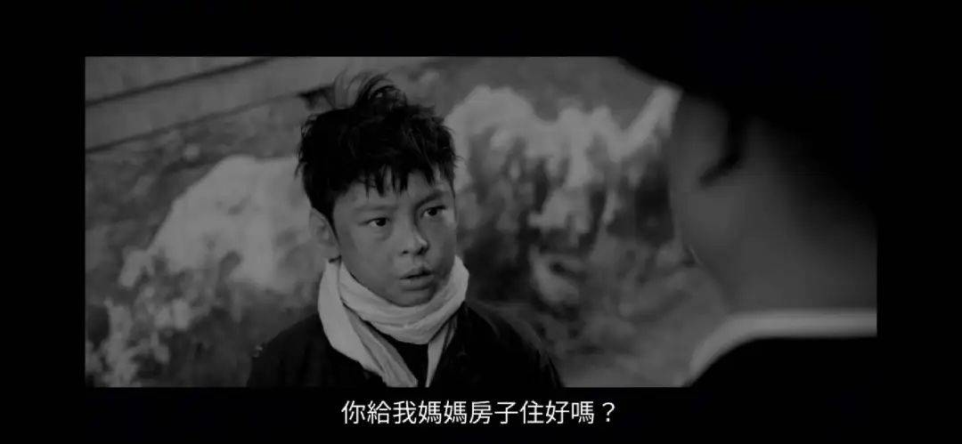 《老狐狸》一部的儿童教育片J9九游会 九游会J9(图27)