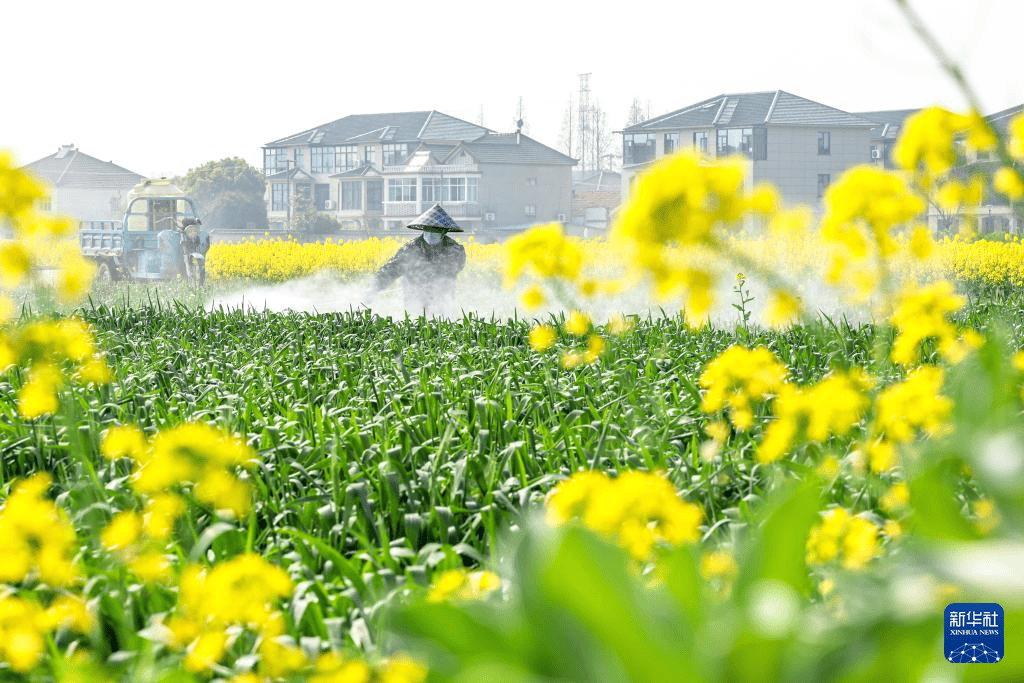 从北到南的春耕"渐变色"_东北_全国_时节