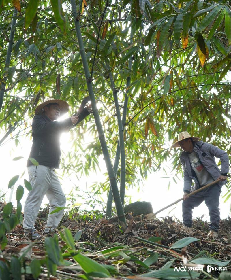 粤北乡村创业记台湾青年在大山里玩出新花样