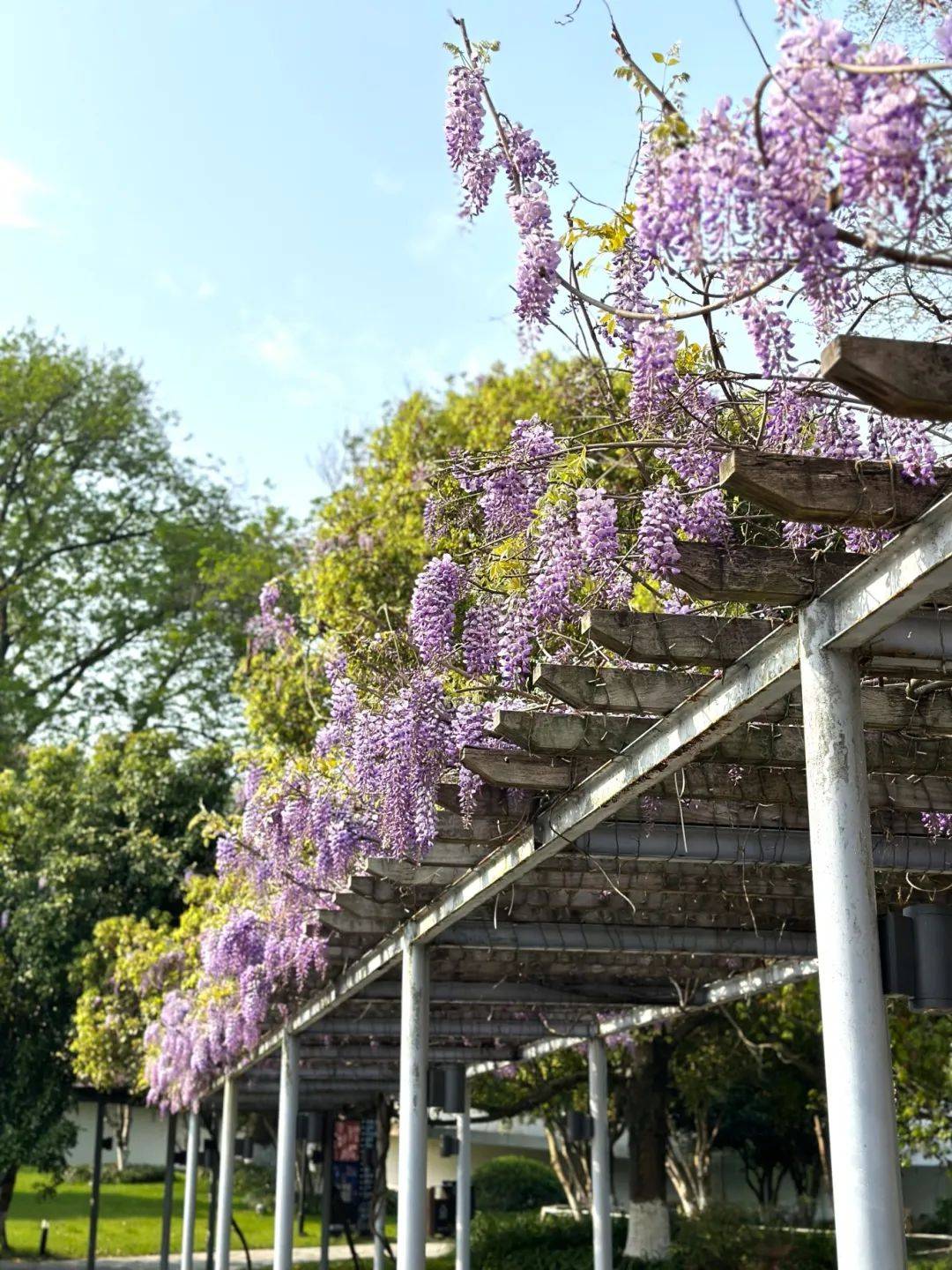 晒出国丝最美春天话题开启快去发笔记赢奖品吧