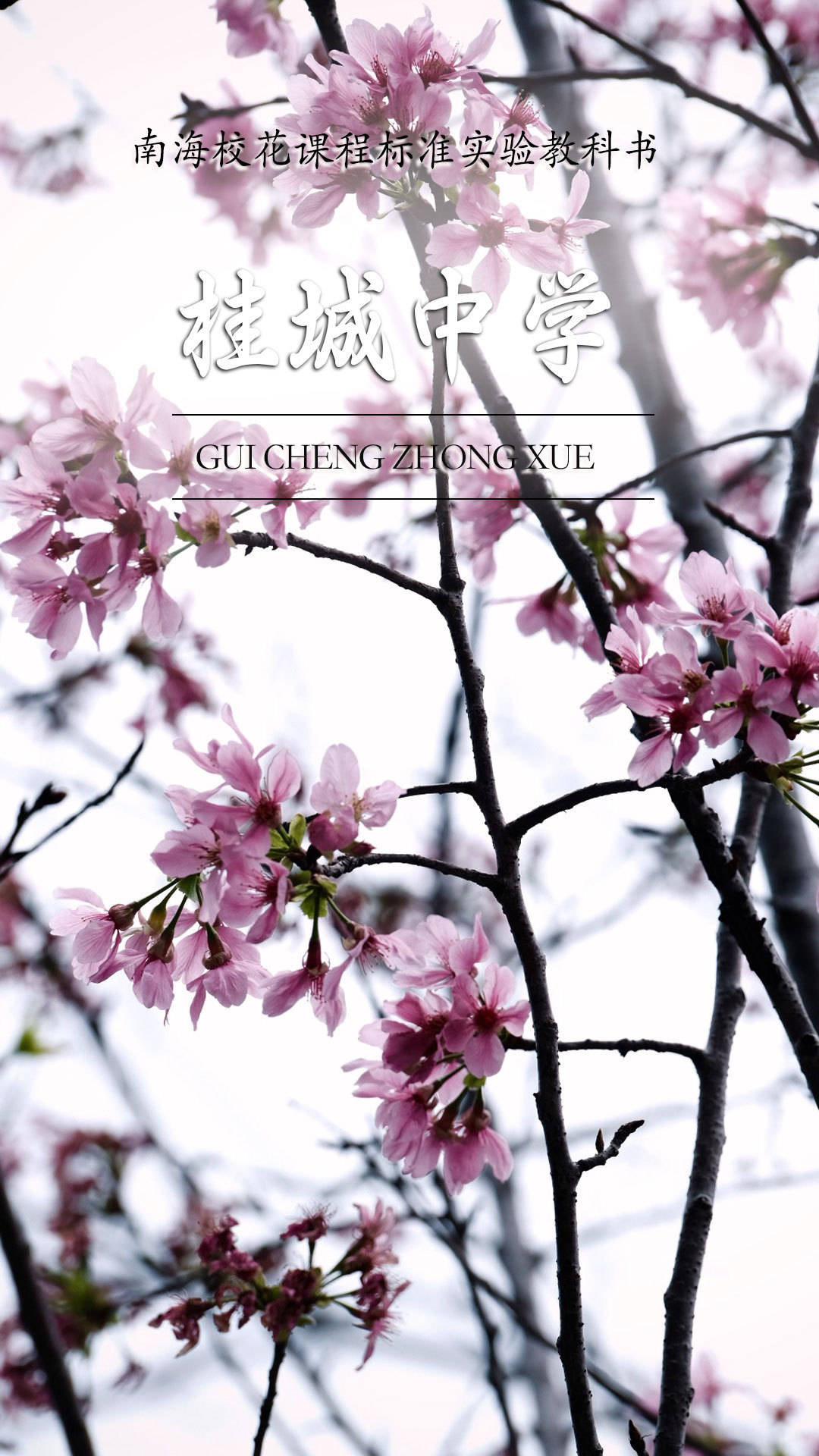 南海"校花"集合!哪一个是你眼中的春日顶流?_校园_花朵_高中