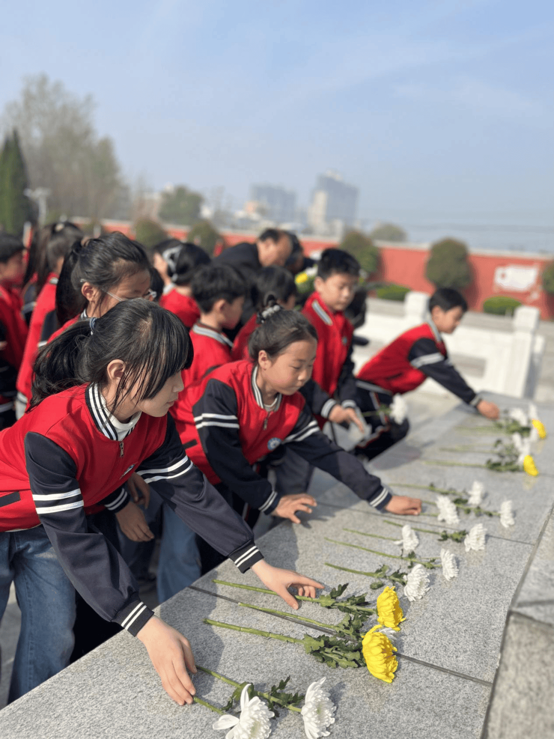 新城中学固定布局工具条上设置固定宽高背景可以设置被包含可以完美