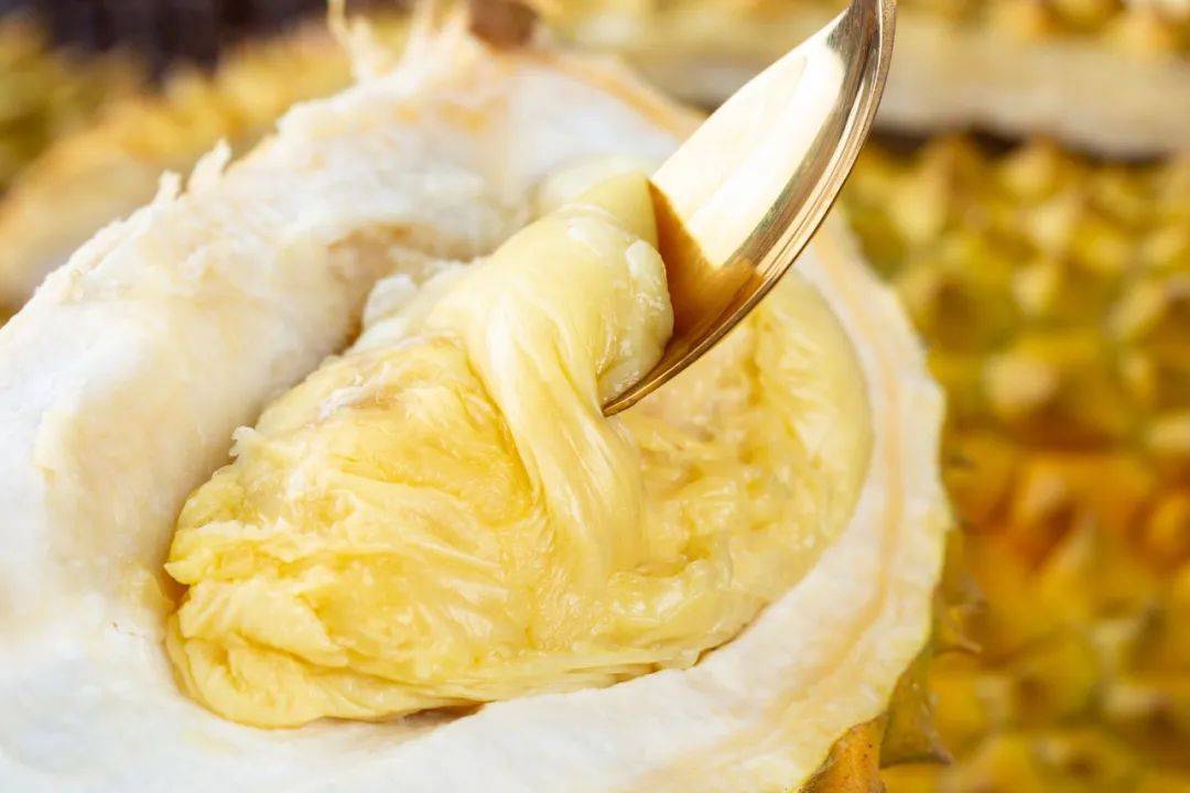 榴莲吃到饱一人送一颗苏丹王快跟上我们去新加坡马来西亚玩耍