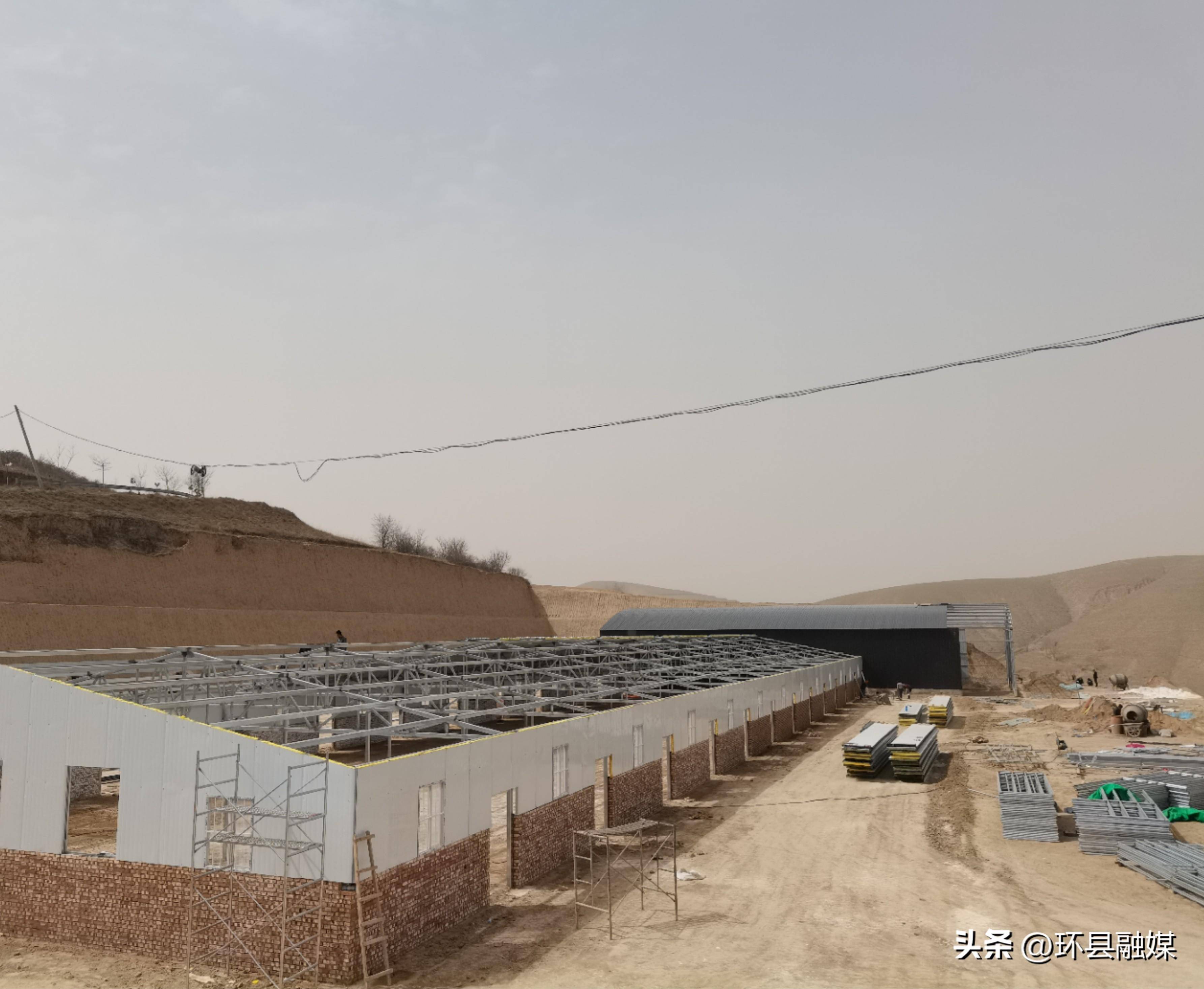 环县芦家湾乡:黑山羊养殖基地建设稳步推进
