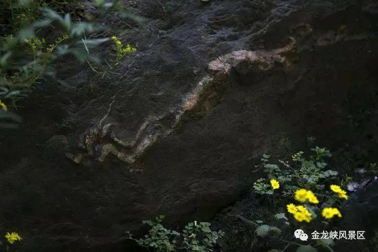 part02踏春赏花 流连忘返金龙峡风景区总面积27平方公里近百个景点