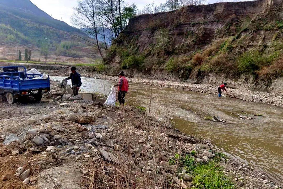 环境整治板桥镇开展河道清理专项行动