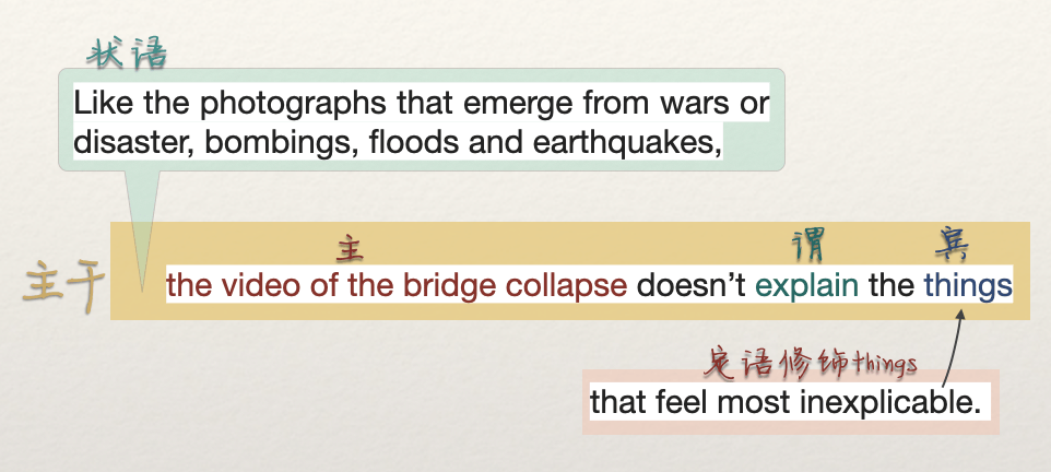 南京大学初试第一虐猫被刷