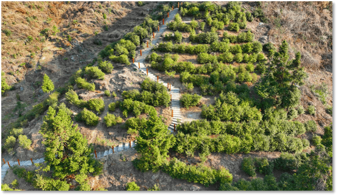 旬阳市仁河口镇:水泉坪的振兴梦