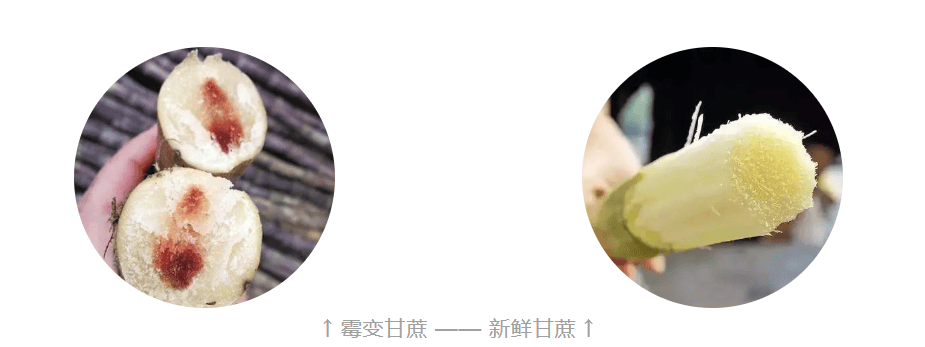 清明特辑|今日烟雨起,正是尝春时_甘蔗_青团_重庆