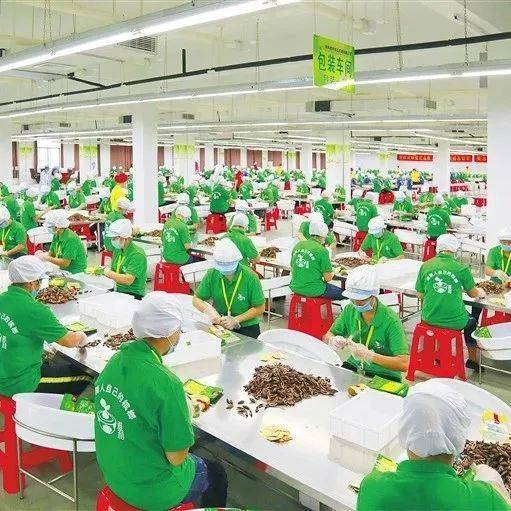 首次被认定毒品我国仍有6000万人对这种水果上瘾