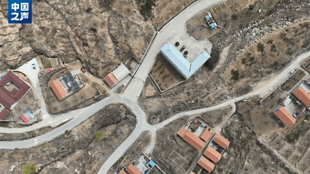 青岛崂山风景区内毁林挖山非法扩建墓地当地回应