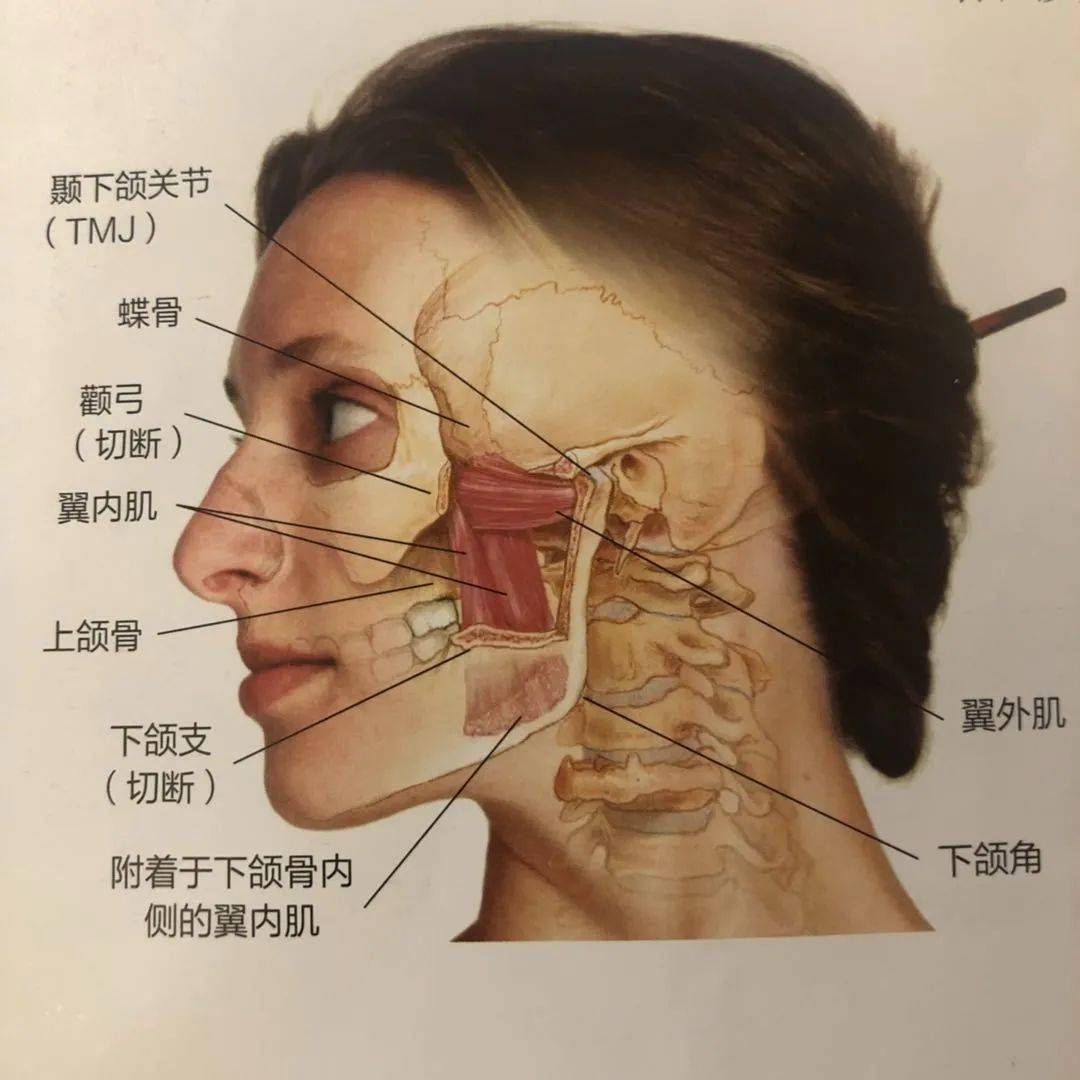 低头玩手机