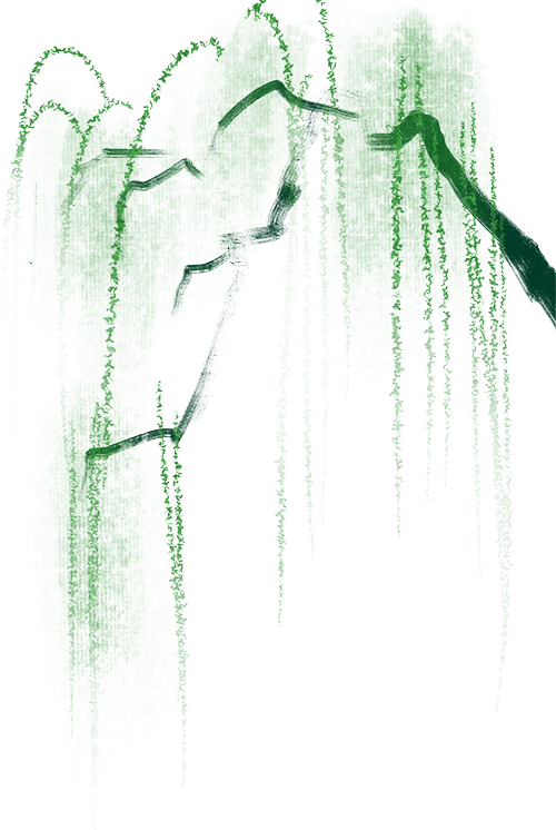 文/高维生刊于2024年4月4日文学报黑水银莲花草木气味,馥郁葱茏.