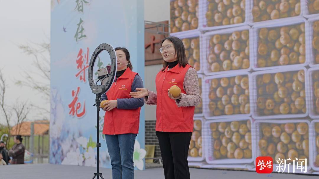 海安万亩梨花次第开乡村振兴踏春来
