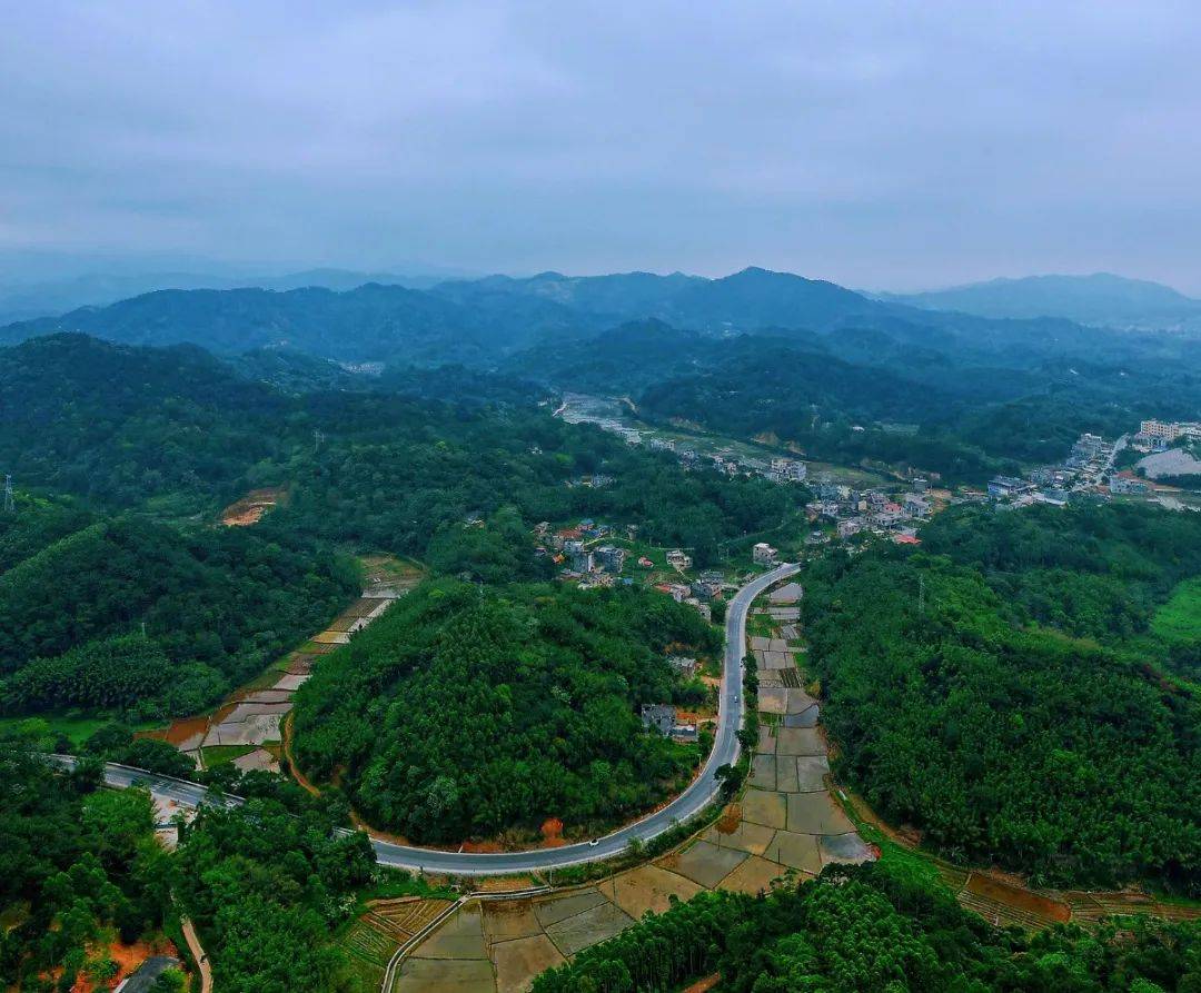 你要写春天玉林市兴业县大平山镇路段国道324线福州至昆明公路要写